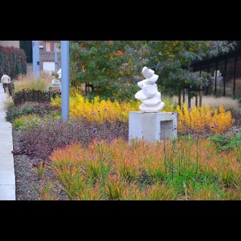 BIBLIOTHEEKTUIN - DENDERMONDE herfstbeeld (1)